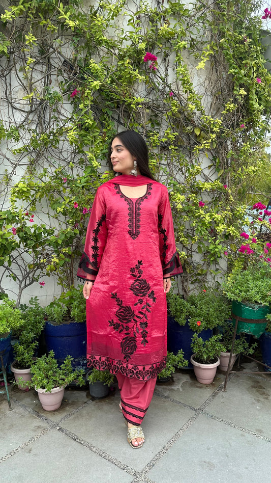 HAND EMBROIDERED SHIMMER ORGANZA SET